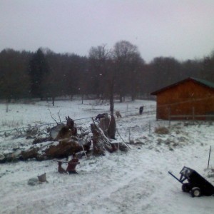 Cold and blustery