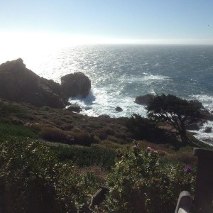 Finally got to lunch after 3 hrs of driving up the coast, what a view.