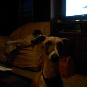 Food?