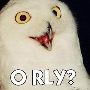 owl-orly