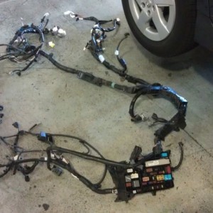 Just a little rat problem. 2010 prius. Fun day at work!