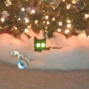 Friends laser cat under their Christmas tree.