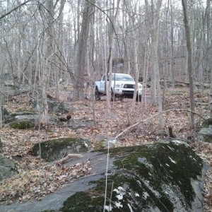 Bigfoot creeping through the wood