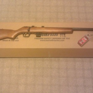 Marlin 17hmr