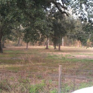 property_2