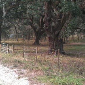 property_3