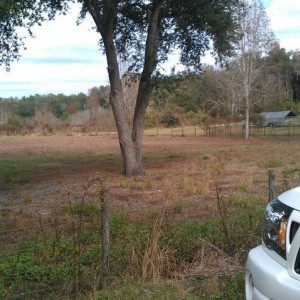 property_1