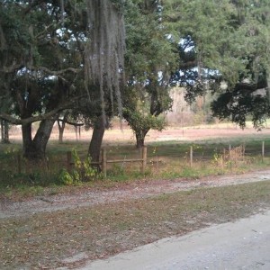 property_4