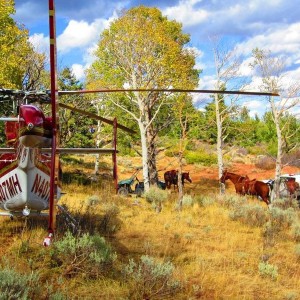 Scene_Horses