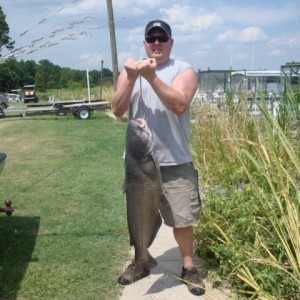 Big_Cat1
