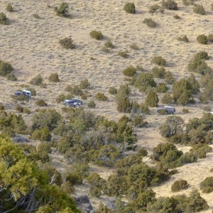 Pyramid City 1/1/12
