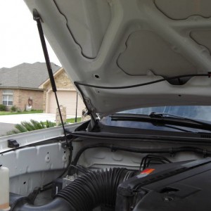 Red Line tuning hood struts