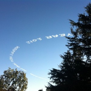 Must be for the Rose Parade