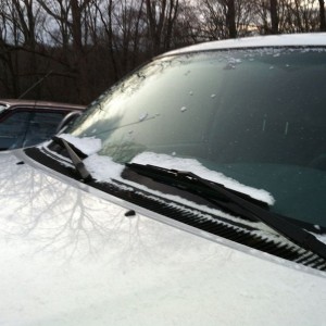 Tits on dads tundra.