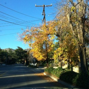 80 Sunny You would think it's fall not winter