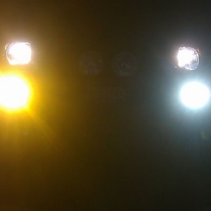 livehsPOlx