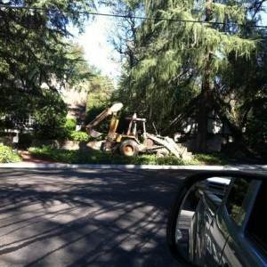 My neighbor is slowly 