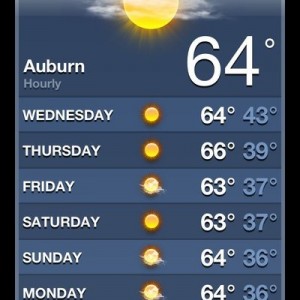 Perfect day to work