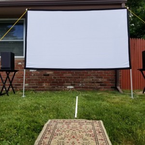 1st projector screen