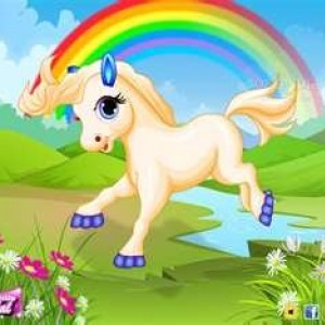 pony_1