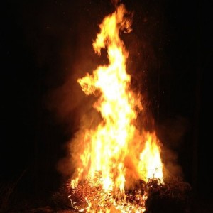 Christmas tree burning