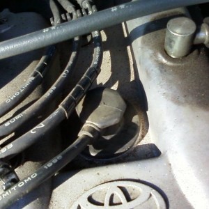 Spark Plugs