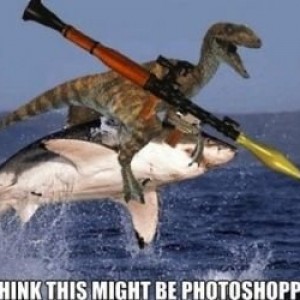 I had to...