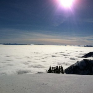 From Josh "Jlink" He is at Jackson hole.......