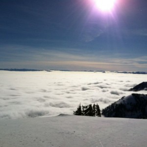 Jackson hole