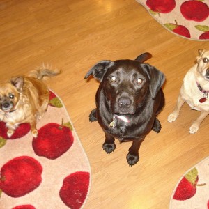 Cookie Time!!