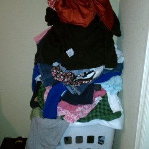 my wife is fucking lazy // sent from my droid