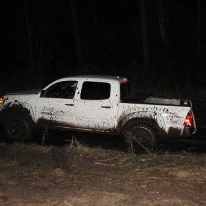 Getting wood at Ocala