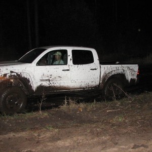 Getting wood at Ocala