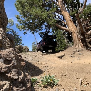IMG_0198.jpeg