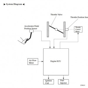 Throttle Control