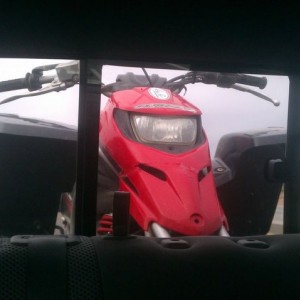 A quading we will go!