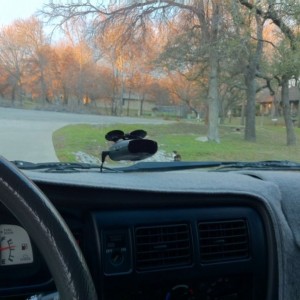 Hard-wired my radar detector