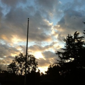 Morning