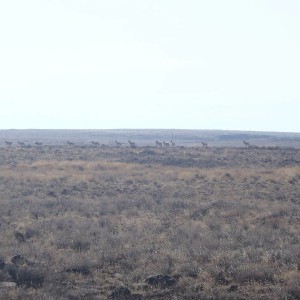 Jan15_008