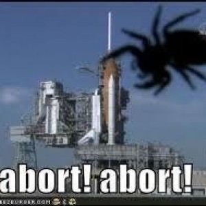 shuttle_spider