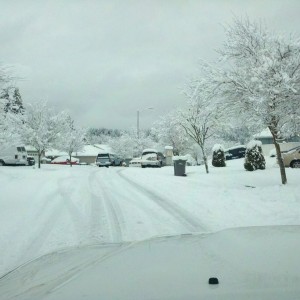 The neighborhood today, 8-10" since this morning. More coming.