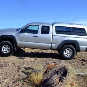 Taco