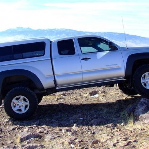 Taco
