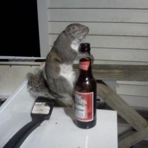 add your own caption.