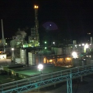 Pic from across the plant.B-)