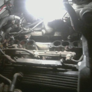 mms_picture_2-13