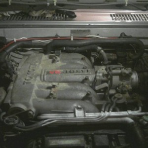 mms_picture_2-9