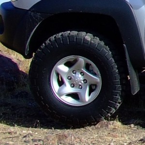 Tire
