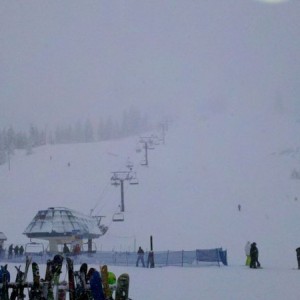 Opening day at bogus
