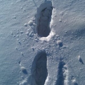 The snow is deep. This message was powered by
